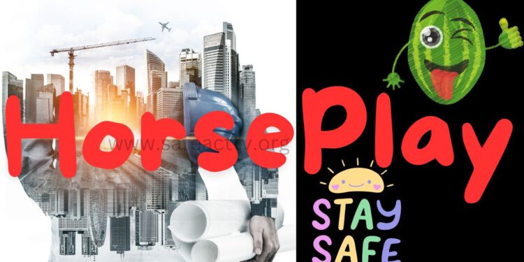 “हम बस मज़े कर रहे थे”। शरारतपूर्ण व्यवहार न केवल असुरक्षित होता है, बल्कि यह मूर्खतापूर्ण भी होता है और गंभीर परिणाम दे सकता है।