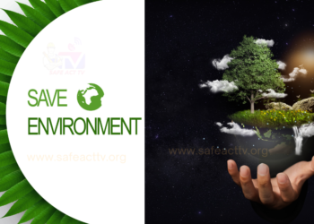 Environment day